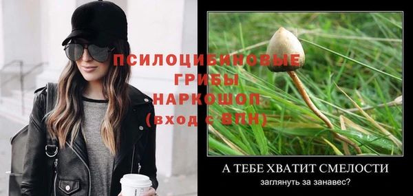 гидра Навашино