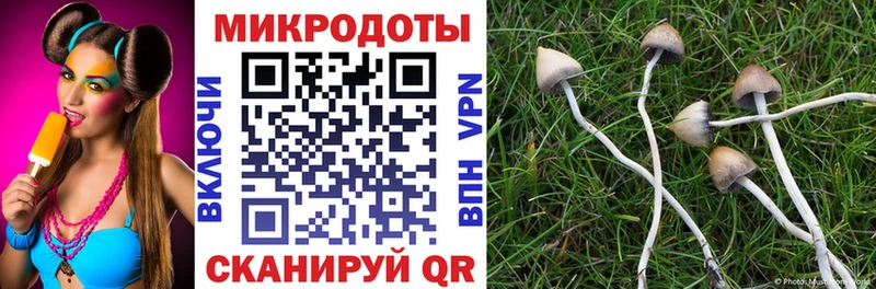 Купить закладки  Павловская  Псилоцибиновые грибы мицелий 