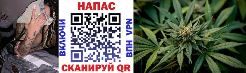 Бошки Шишки марихуана  Купить закладки  Павловская 